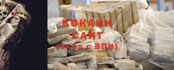 гашик Арсеньев