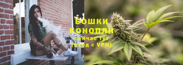 гашик Арсеньев