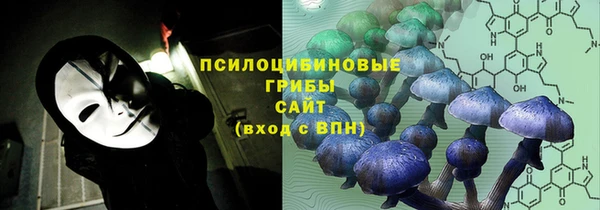 гашик Арсеньев