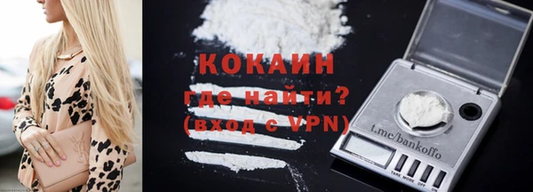 гашик Арсеньев