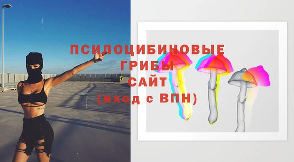 гашик Арсеньев