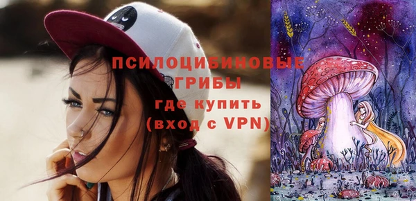 гашик Арсеньев