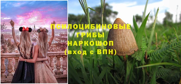 мяу мяу мука Армянск