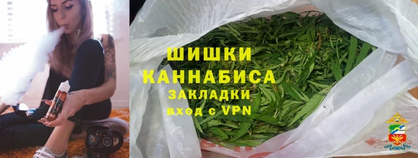 гашик Арсеньев